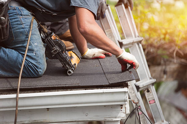 Best Roof Gutter Cleaning  in Maumee, OH